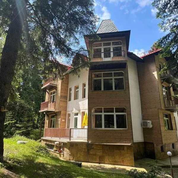 The Forest Villa Borovets by BookVillaBG, hotel in Borovets