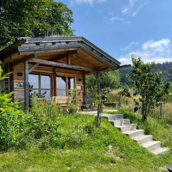 Berghütte am Grandsberg, hotel v destinaci Schwarzach
