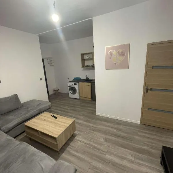 Appartements 4 personnes, hotel in Lille