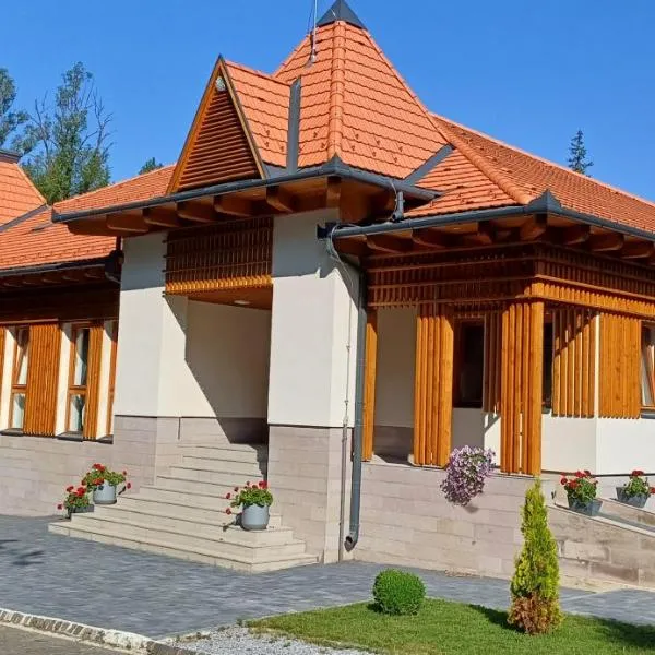 Villa Bellini Borszék, hotel i Borsec
