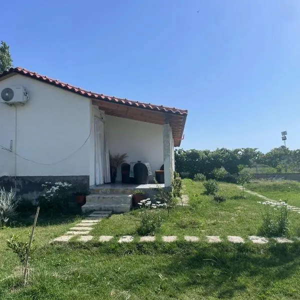 Diarla's Home 1, hotel in Fier
