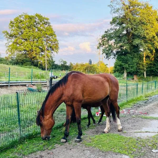 Caravane en pleine nature ferme proche de tout, hotel in Philippeville