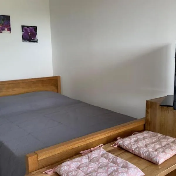 location studio, hôtel à Ducos