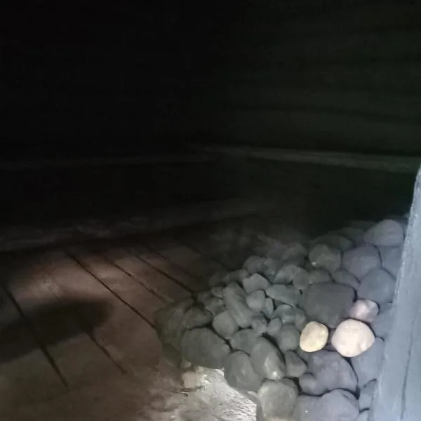 Vingri house & sauna, hotel in Rimicāni