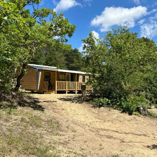 Mobil home ile de loisirs de buthiers、Buthiersのホテル