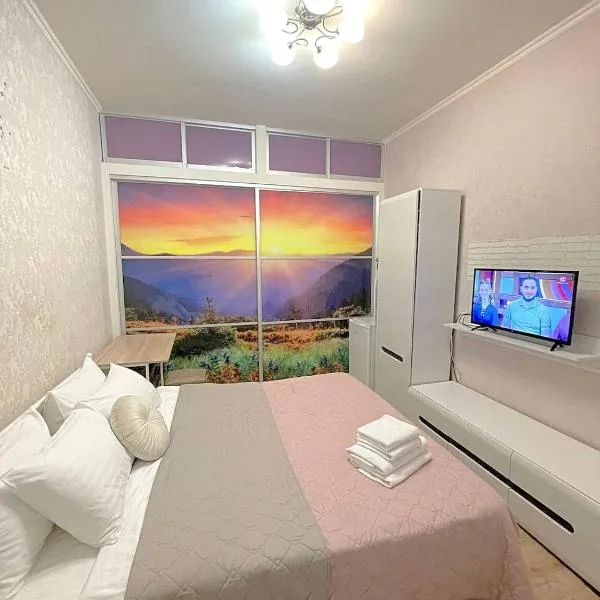 Лавандовий світанок Однокімнатна квартира біля ЦУМу в центрі Полтави Мережа AlexApartments Документи для відряджень Безконтатне заселення 24-7, hotel in Poltava