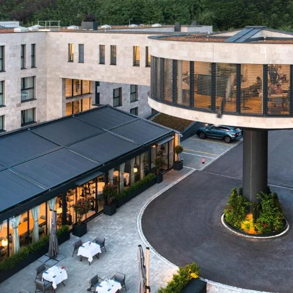 LMS - La Maison Suisse - Döttingen，位于Döttingen的酒店