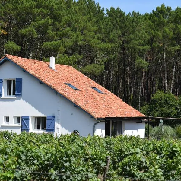 Evasion Côtière Tranquillité entre Forêt et Océan, hotel in Vielle-Saint-Girons