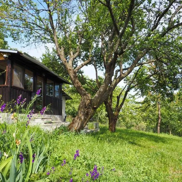 Casa din sat、Marginea Păduriiのホテル