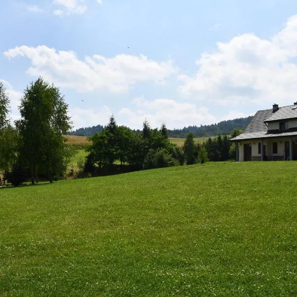 Pod Nartami, hotel in Hoczew