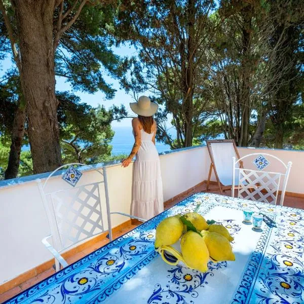 Casa Schiattarella Capri, hotel en Capri