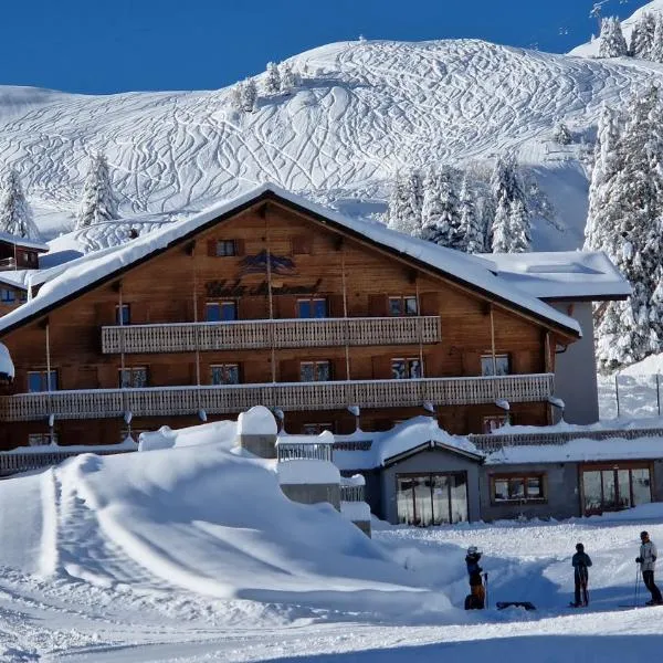 Chalet Montriond - Bike & Ski, hotel v destinaci Les Crosets
