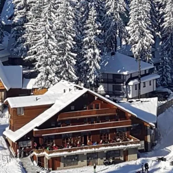 Pansion Vlašić Ski, ξενοδοχείο σε Šišava