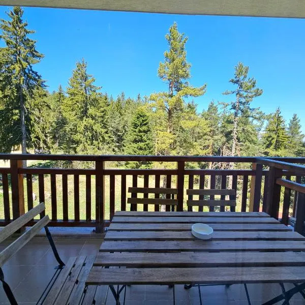 Studios and Apartments - Semiramida Gardens, hotel in Borovets