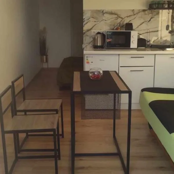 Jolantos svečių namai, hotel v destinaci Rokiškis