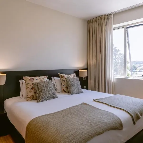 Hotel Conde de Agueda, ξενοδοχείο σε Agueda