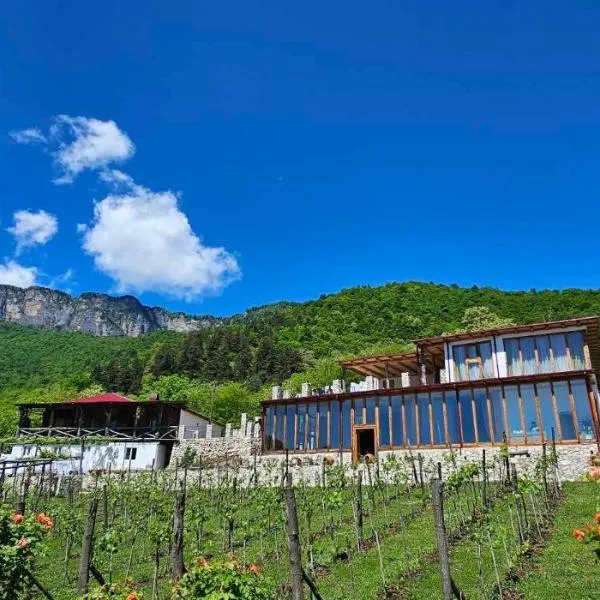 Korenishuli Veranda Wine Hotel, hotel in Tsʼageri