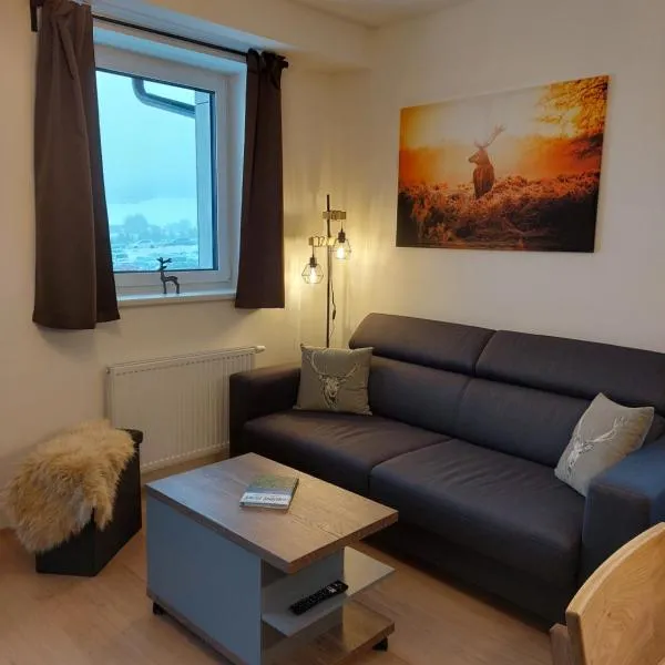 Apartmán U Jelena, hotell sihtkohas Loučná pod Klínovcem