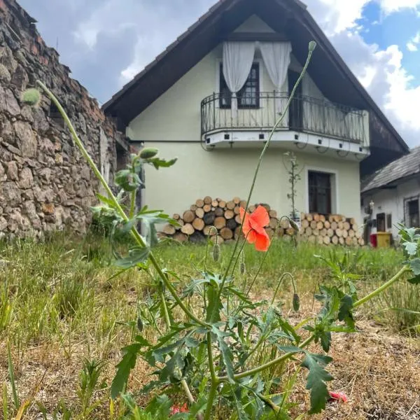 Chalupa v Hliníku, hotel din Hliník nad Hronom
