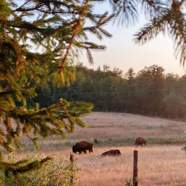 Terra dei Bisonti，位于帕尼卡莱的酒店