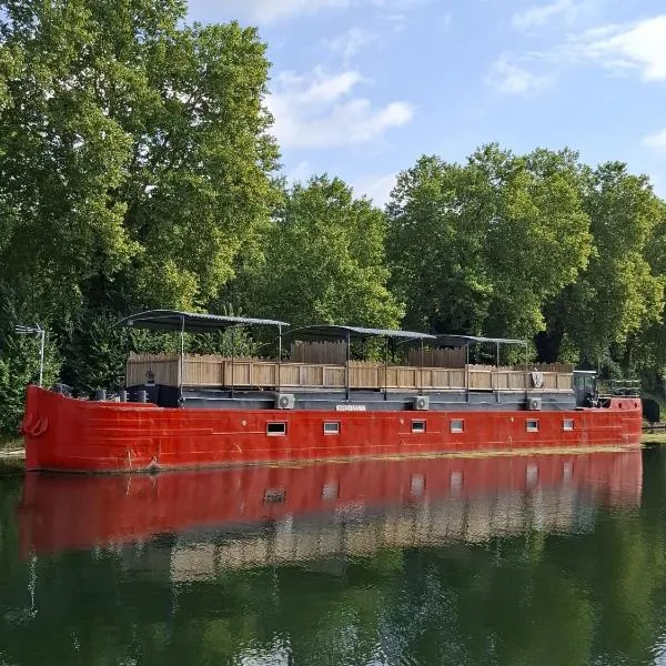 La péniche de Fabrice avec Jacuzzi privatif, hôtel à Strasbourg