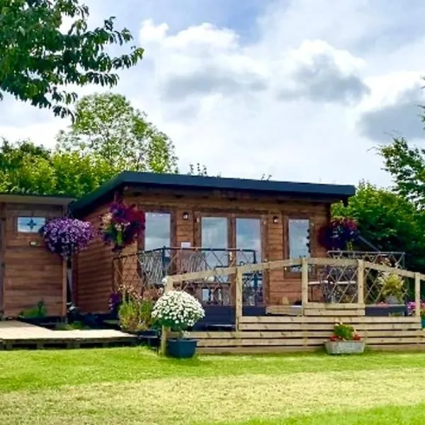 Cherry Tree Glamping Lodge, hotel in Wellington