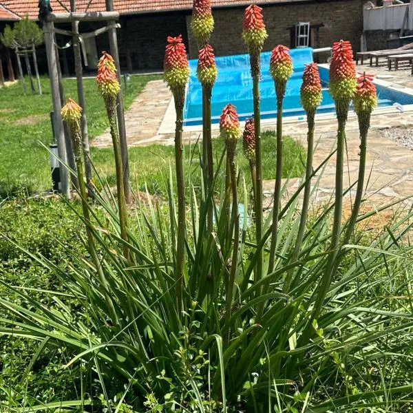 Chez le Colonel Pool House, hotel in Dobromirka