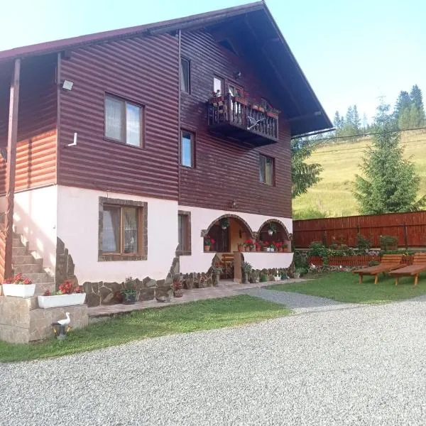 Casa ALINA ȘI ANDREEA, hotel in Arieşeni