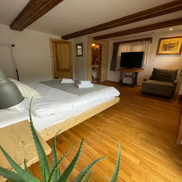 Camera Zâmbru - CĂTUN, hotel v destinaci Sinaia