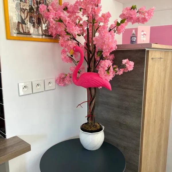 maison pink flamingo aeroport tillé 2 a 4 personnes, hôtel à Tillé