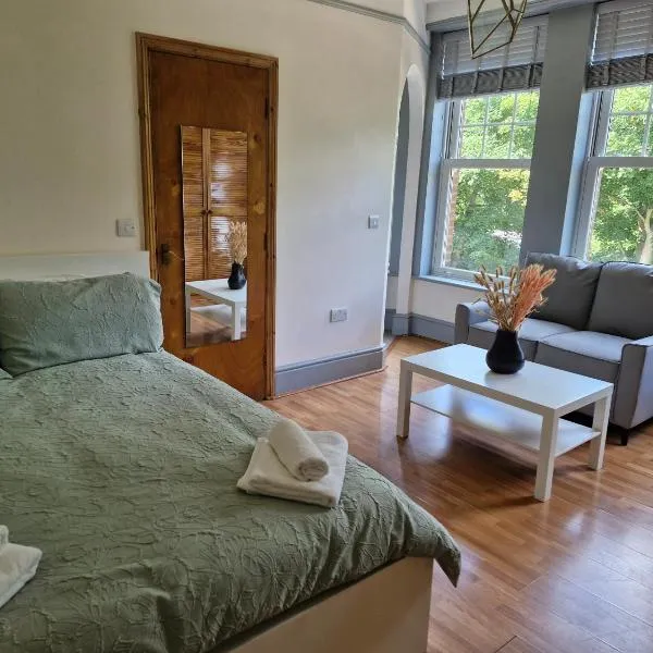 Bright Studio Apartment in a perfect location, hotel in London