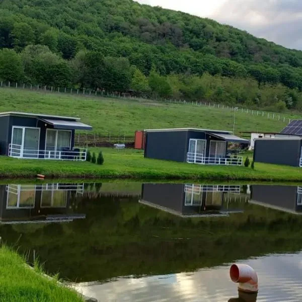 Lacurile IRION, ξενοδοχείο σε Hoghilag