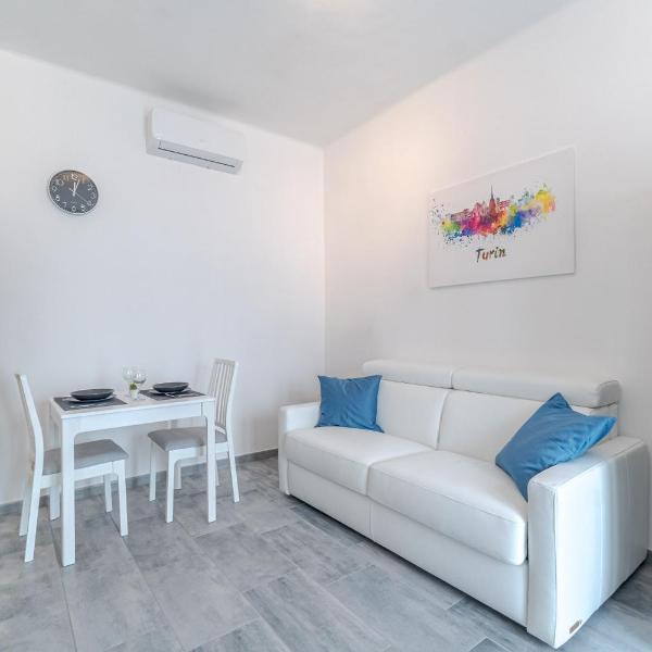 Functional flat near the Olimpic Stadium, Turín