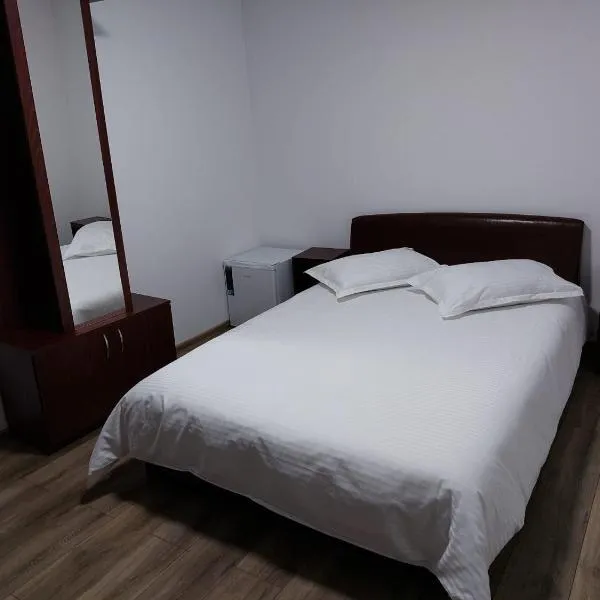 Hotel Roua Muntilor, hotel in Nehoiu