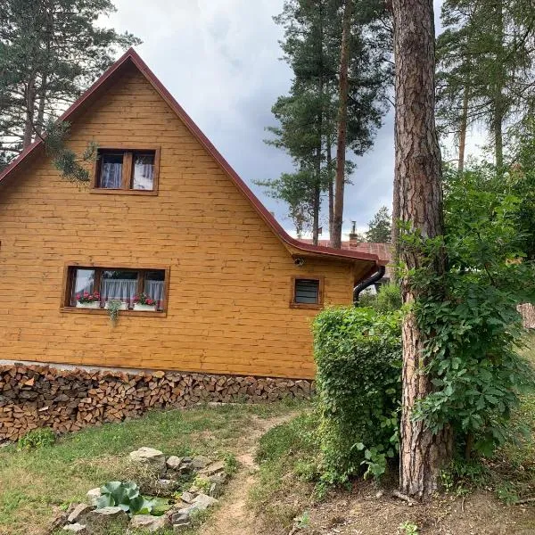 Chata Mareš, hotel v destinaci Samechov