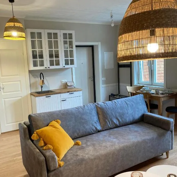 Linnupesa Apartment, hotel in Viljandi