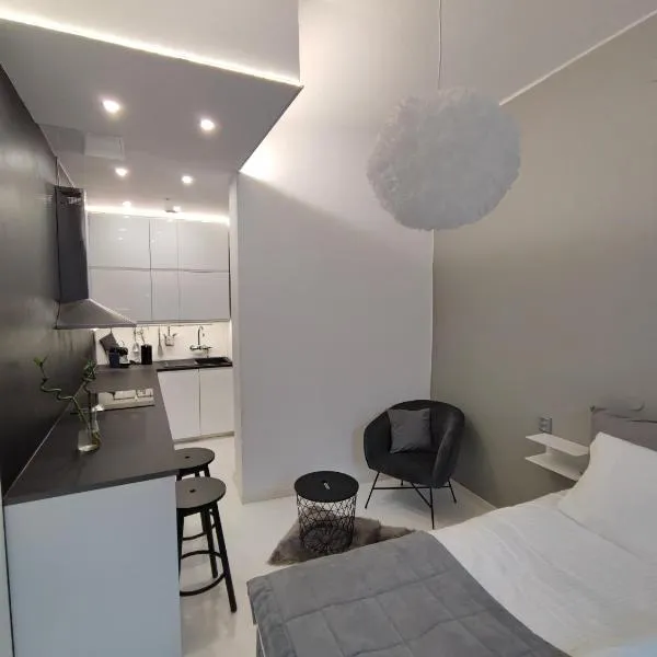 Ihastuttava huoneisto Helsingin ytimessä, hotell Helsingis