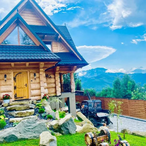 Villa Alexandra, hotel in Kościelisko