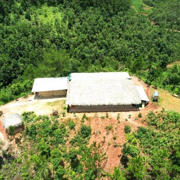 Nature Homestay Mù Cang Chải, hôtel à Mù Cang Chải
