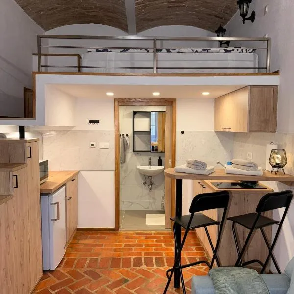 Zenroom Apartments, Hotel in Ljubljana