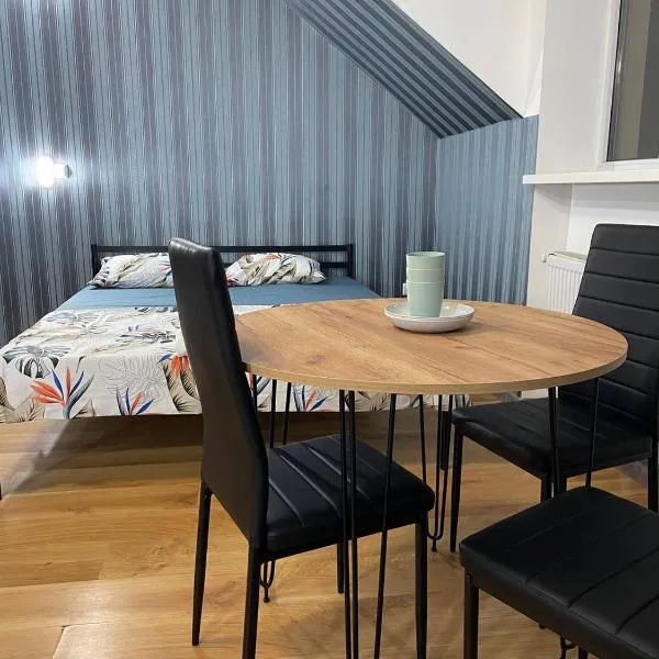 VIP hostel, hotel in Mukacheve