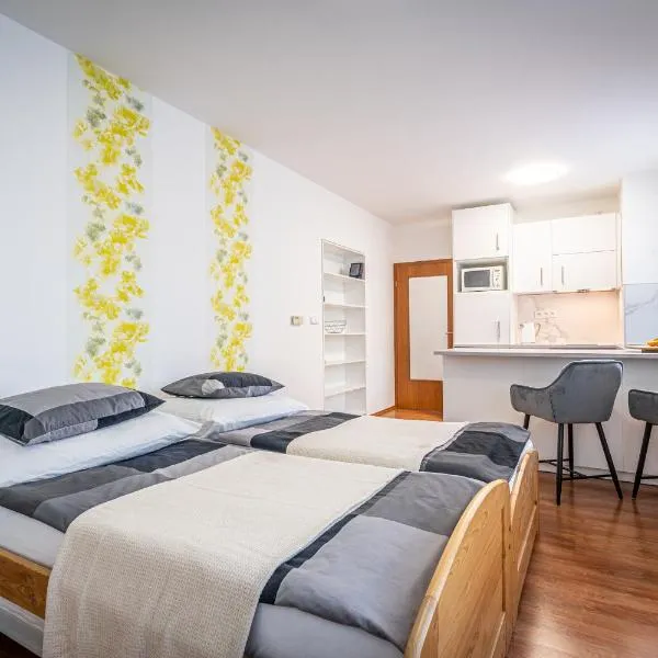 Apartment Komin, hôtel à Komín