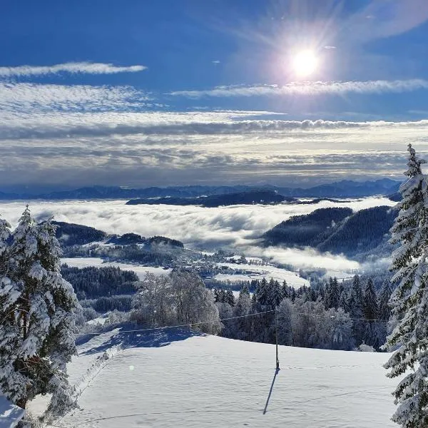 Landhaus Karawankenblick, hotel in Himmelberg