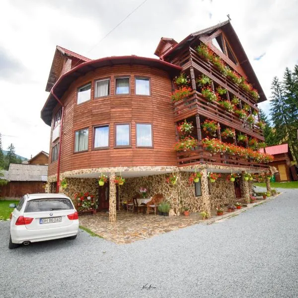 CASA BINU, hotel in Arieşeni