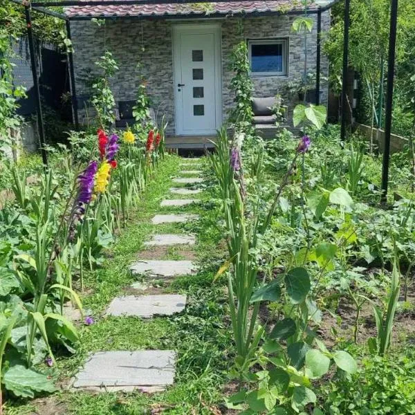 Studio Alex, ξενοδοχείο στη Γάνδη