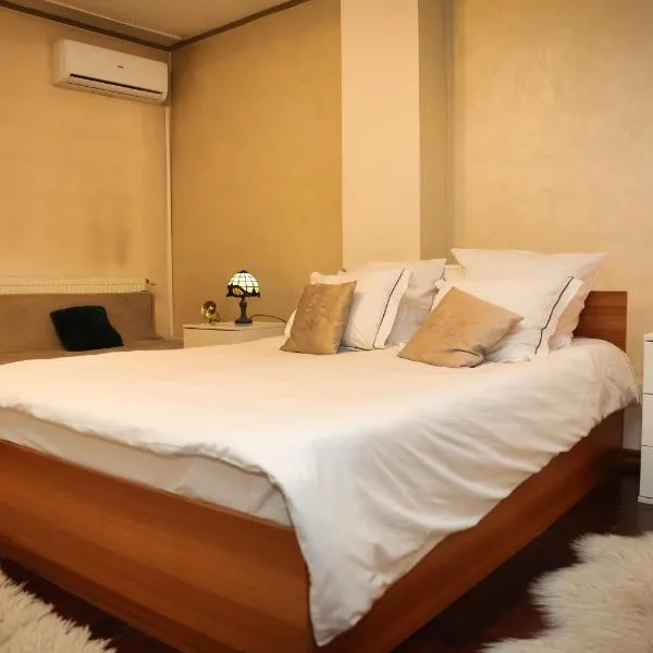 Pensiunea Giovani, ξενοδοχείο σε Târgu Jiu