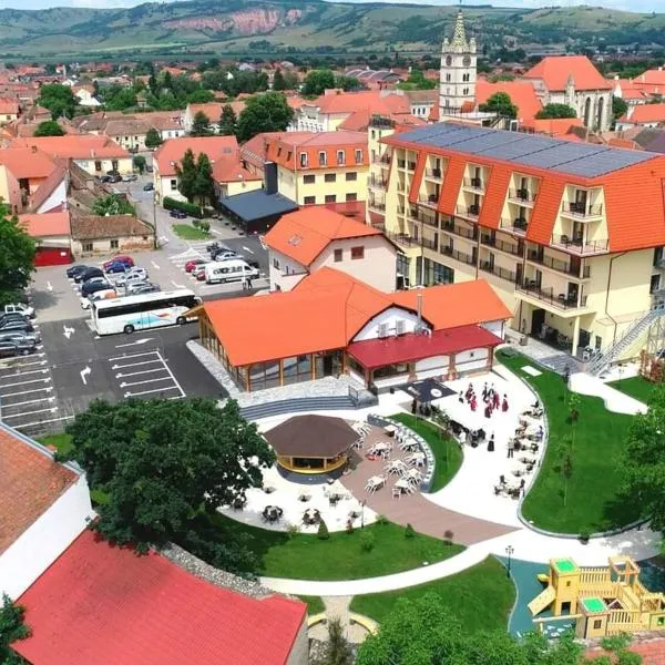 Hotel Leul de Aur, hotel a Sebeş