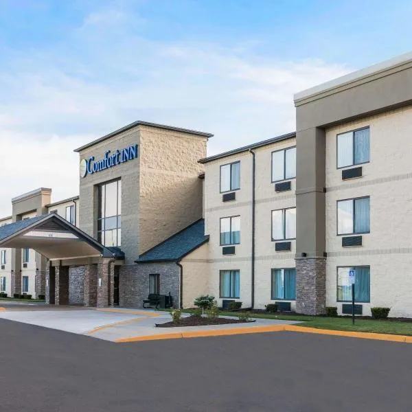 Comfort Inn Metro Airport, hotel en Romulus