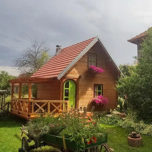 Apartments Vila Selena - Golija, hotel di Rudno