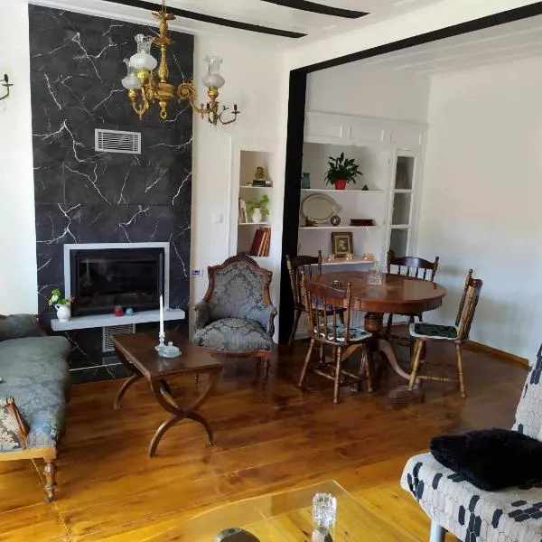 Διώροφο πέτρινο σπίτι με θέα Agiasos Classic Stone House, hôtel à Agiásos